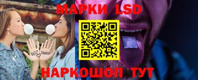 дурь Сланцы