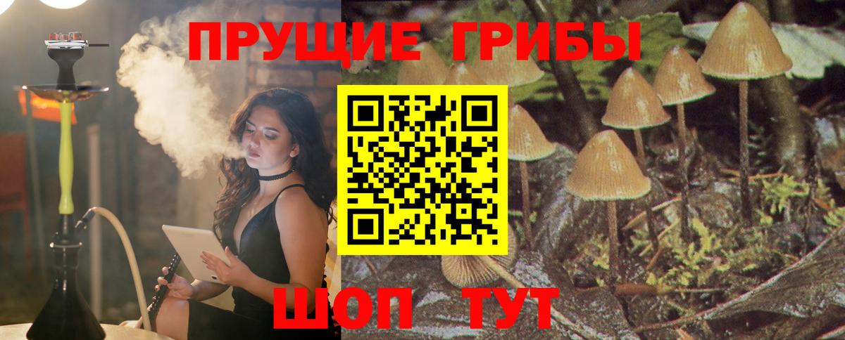 Галлюциногенные грибы Cubensis Анжеро-Судженск
